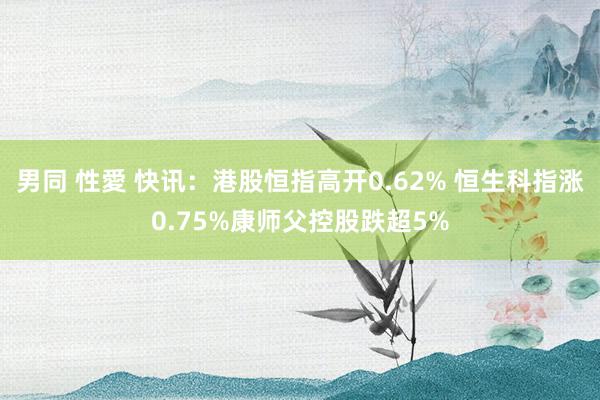 男同 性愛 快讯：港股恒指高开0.62% 恒生科指涨0.75%康师父控股跌超5%